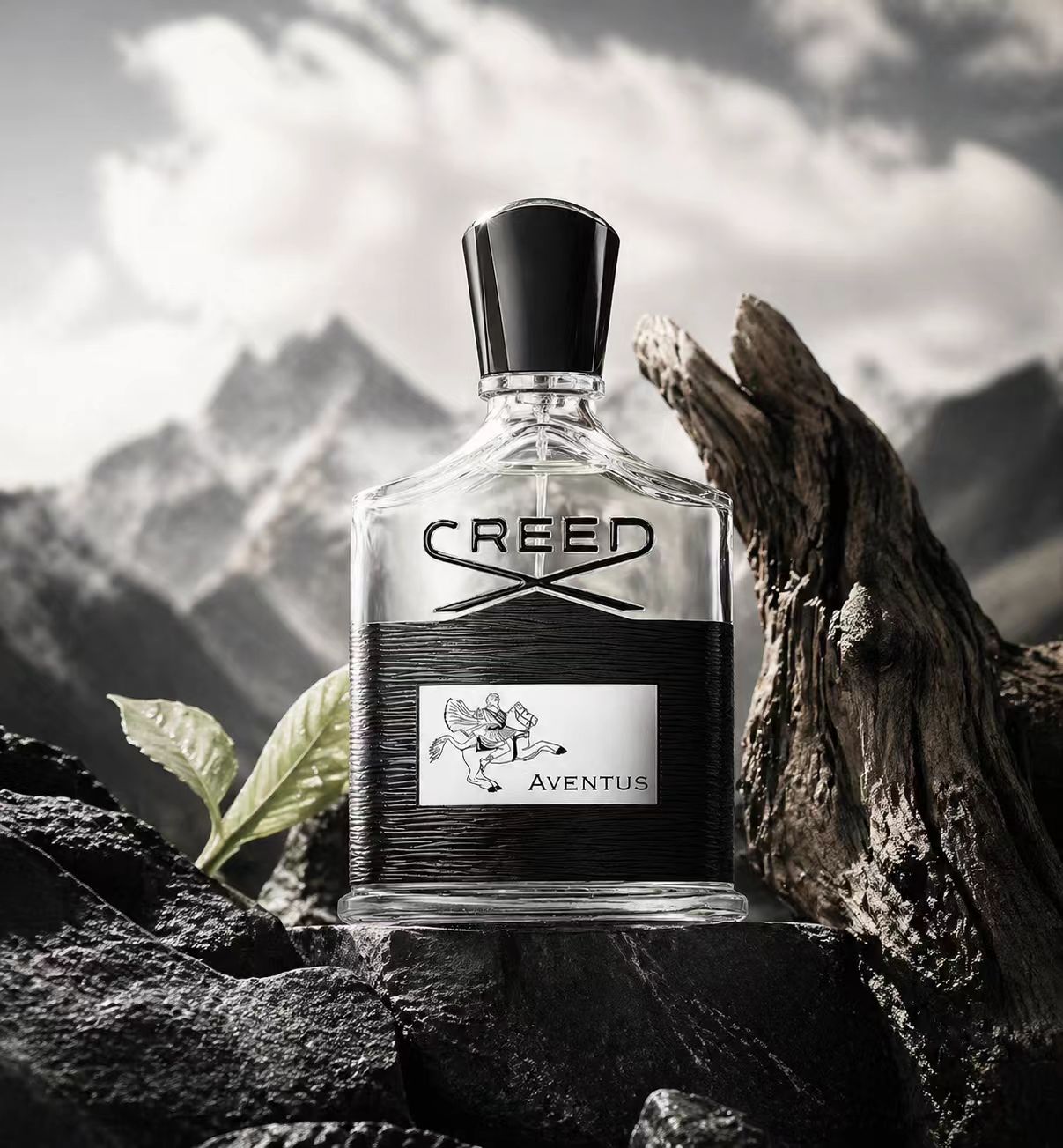 クリード アベンタス：大胆で時代を超越したメンズコロン - Creed Aventus Dupe のレビューと価格
