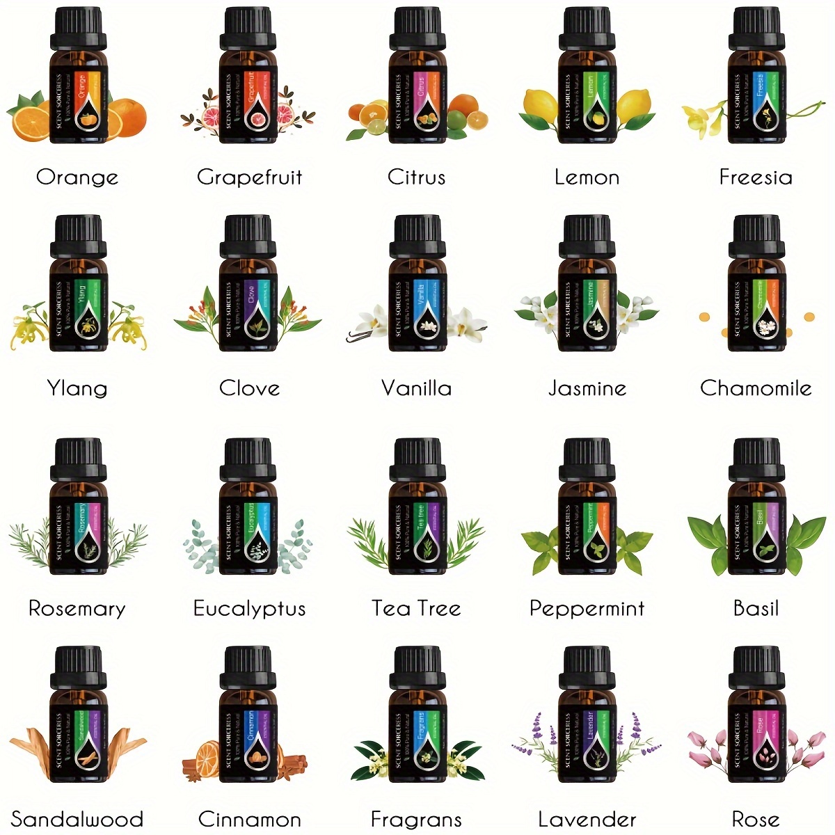20 ピース/セットクラシックブランドエッセンシャルオイルセ - Perfume Fragrance Oil のレビューと価格